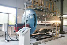 紡織廠(chǎng)燃?xì)忮仩t